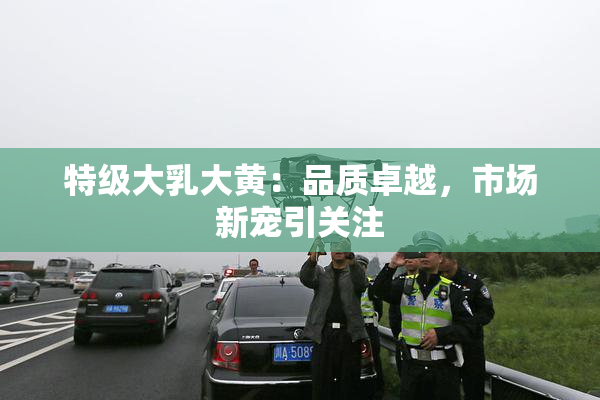 特级大乳大黄：品质卓越，市场新宠引关注