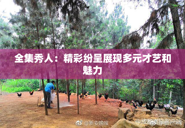 全集秀人：精彩纷呈展现多元才艺和魅力