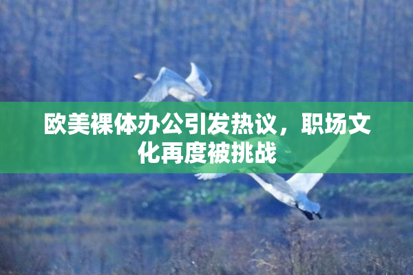 欧美裸体办公引发热议，职场文化再度被挑战