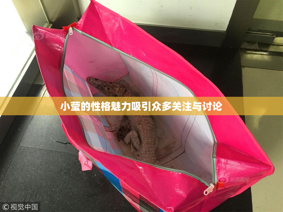小莹的性格魅力吸引众多关注与讨论