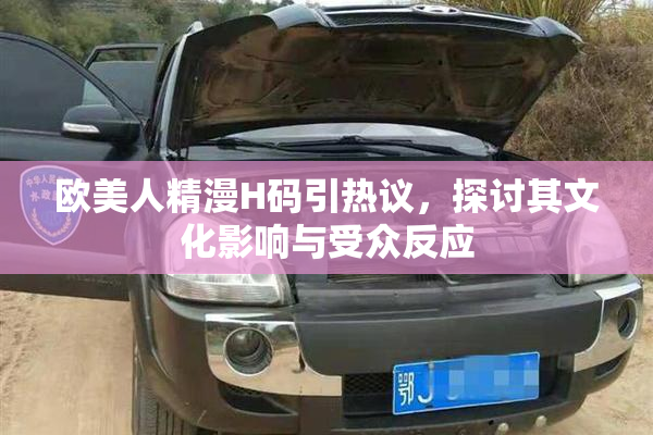 欧美人精漫H码引热议，探讨其文化影响与受众反应