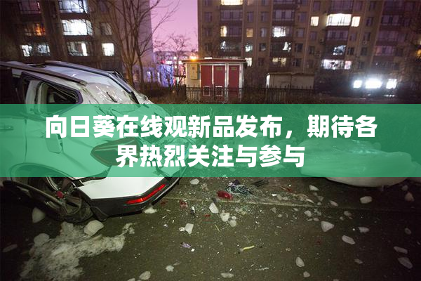向日葵在线观新品发布，期待各界热烈关注与参与