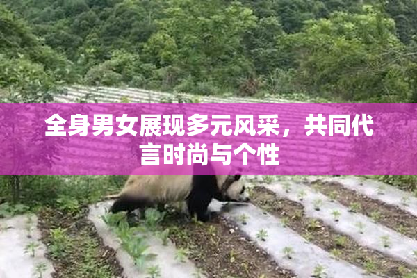 全身男女展现多元风采，共同代言时尚与个性