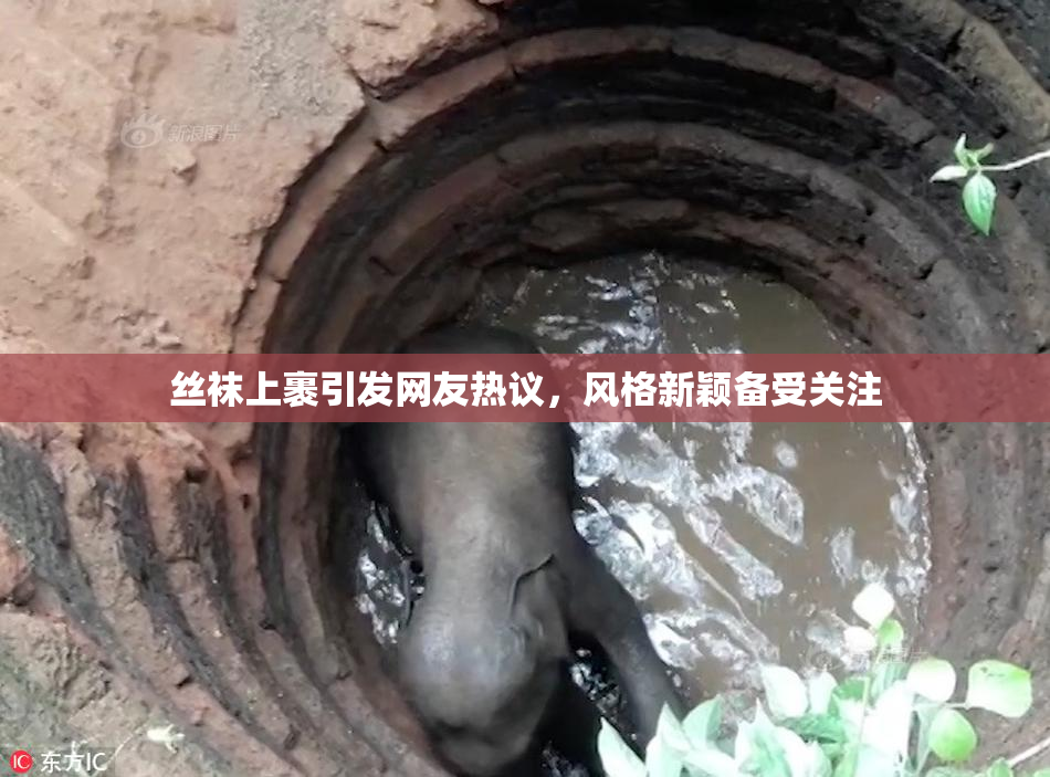 丝袜上裹引发网友热议，风格新颖备受关注