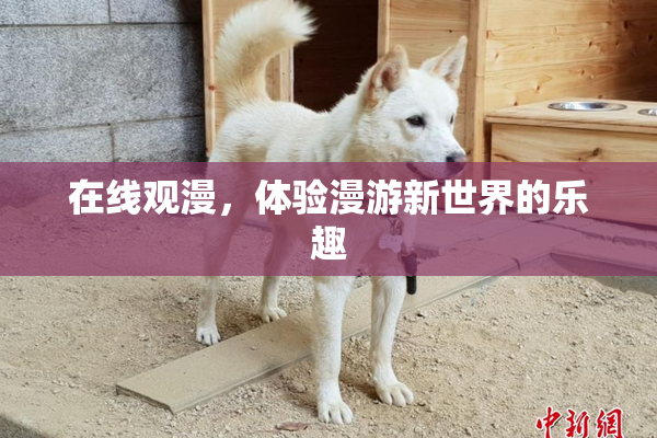 在线观漫，体验漫游新世界的乐趣