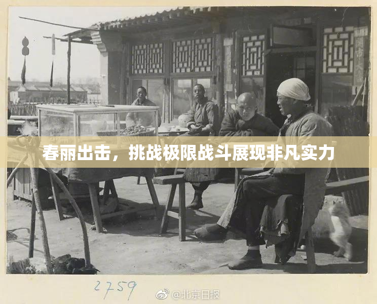 春丽出击，挑战极限战斗展现非凡实力