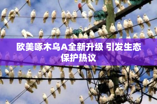 欧美啄木乌A全新升级 引发生态保护热议