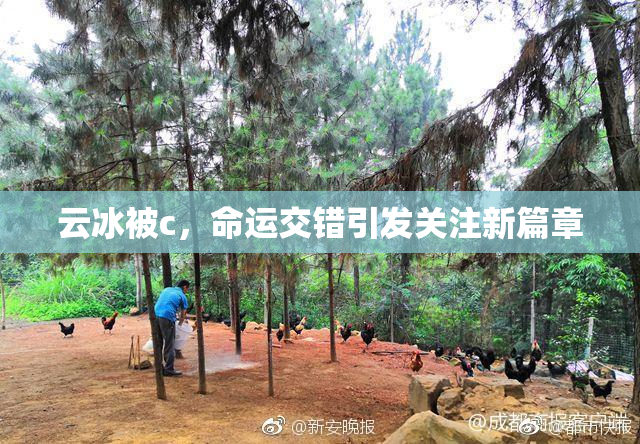 云冰被c，命运交错引发关注新篇章