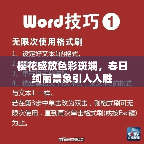 樱花盛放色彩斑斓，春日绚丽景象引人入胜
