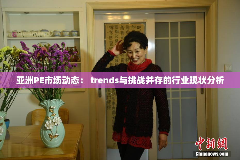 亚洲PE市场动态： trends与挑战并存的行业现状分析