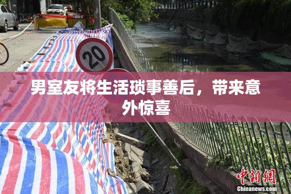 男室友将生活琐事善后，带来意外惊喜