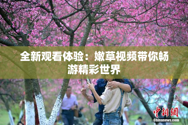 全新观看体验：嫩草视频带你畅游精彩世界