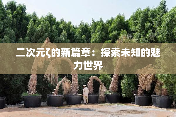 二次元ζ的新篇章：探索未知的魅力世界