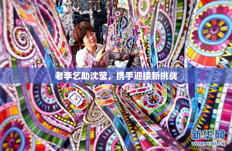 老李乞助沈莹，携手迎接新挑战