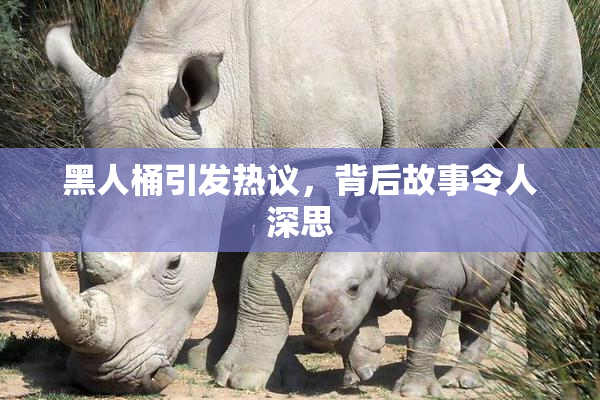 黑人桶引发热议，背后故事令人深思