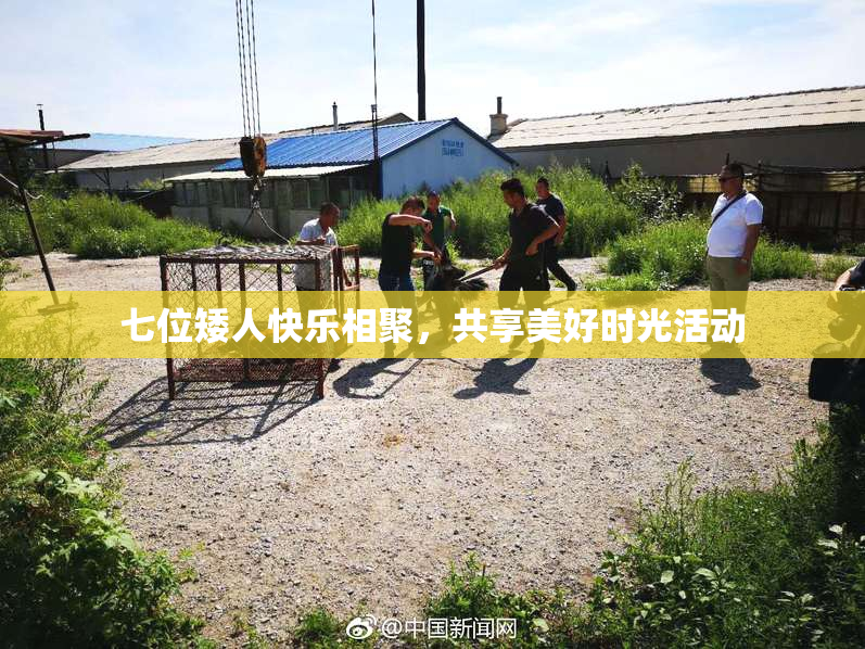 七位矮人快乐相聚，共享美好时光活动