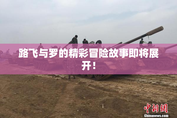 路飞与罗的精彩冒险故事即将展开！