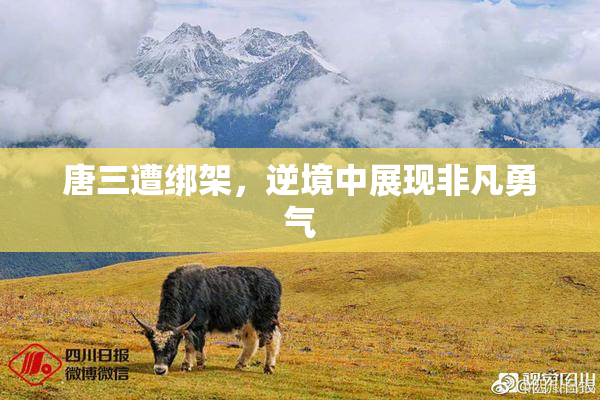 唐三遭绑架，逆境中展现非凡勇气
