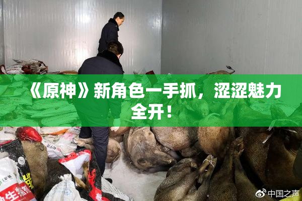 《原神》新角色一手抓，涩涩魅力全开！