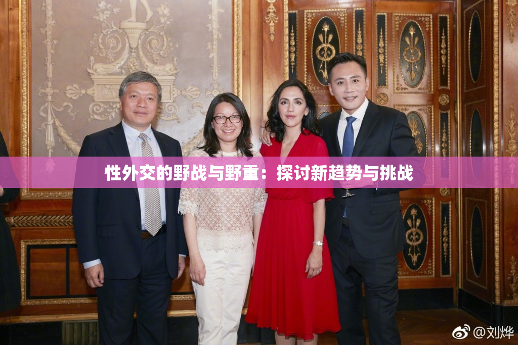 性外交的野战与野重：探讨新趋势与挑战