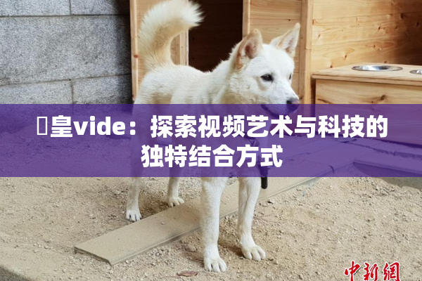嘼皇vide：探索视频艺术与科技的独特结合方式