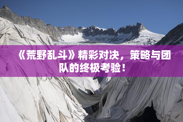 《荒野乱斗》精彩对决，策略与团队的终极考验！