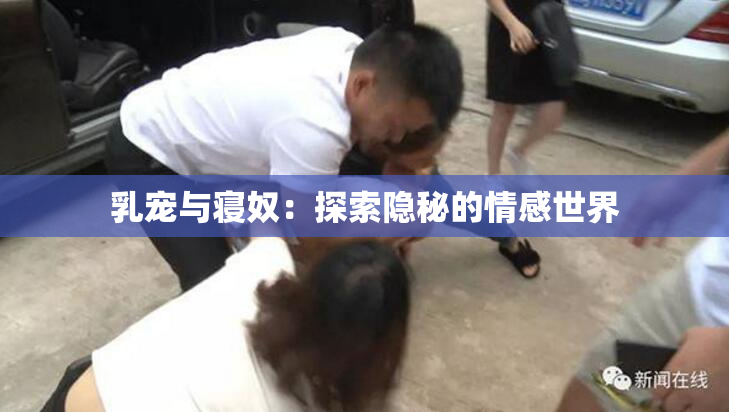 乳宠与寝奴：探索隐秘的情感世界