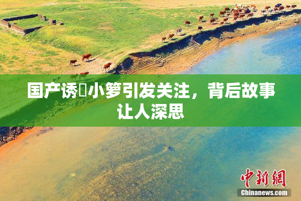 国产诱奷小箩引发关注，背后故事让人深思