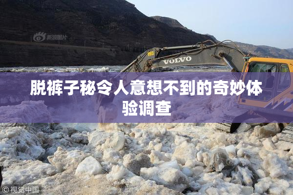 脱裤子秘令人意想不到的奇妙体验调查