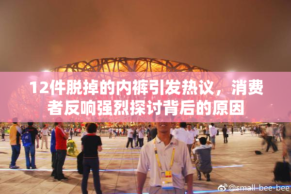 12件脱掉的内裤引发热议，消费者反响强烈探讨背后的原因