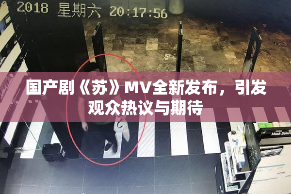 国产剧《苏》MV全新发布，引发观众热议与期待