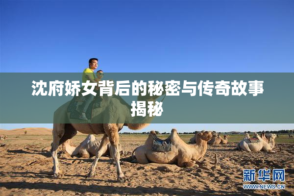 沈府娇女背后的秘密与传奇故事揭秘