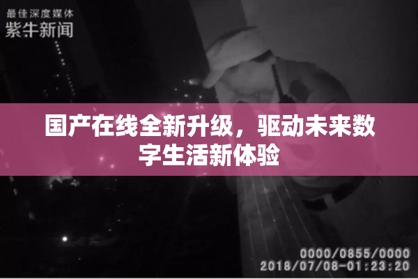 国产在线全新升级，驱动未来数字生活新体验
