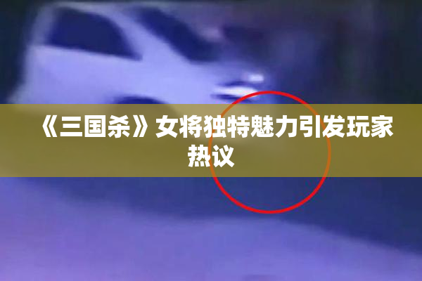 《三国杀》女将独特魅力引发玩家热议