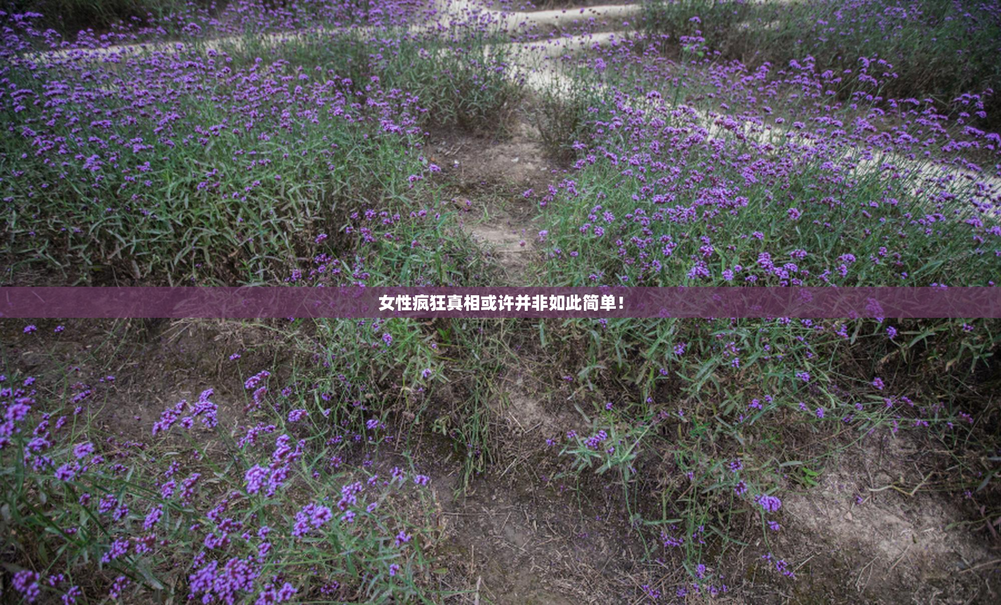 女性疯狂真相或许并非如此简单！