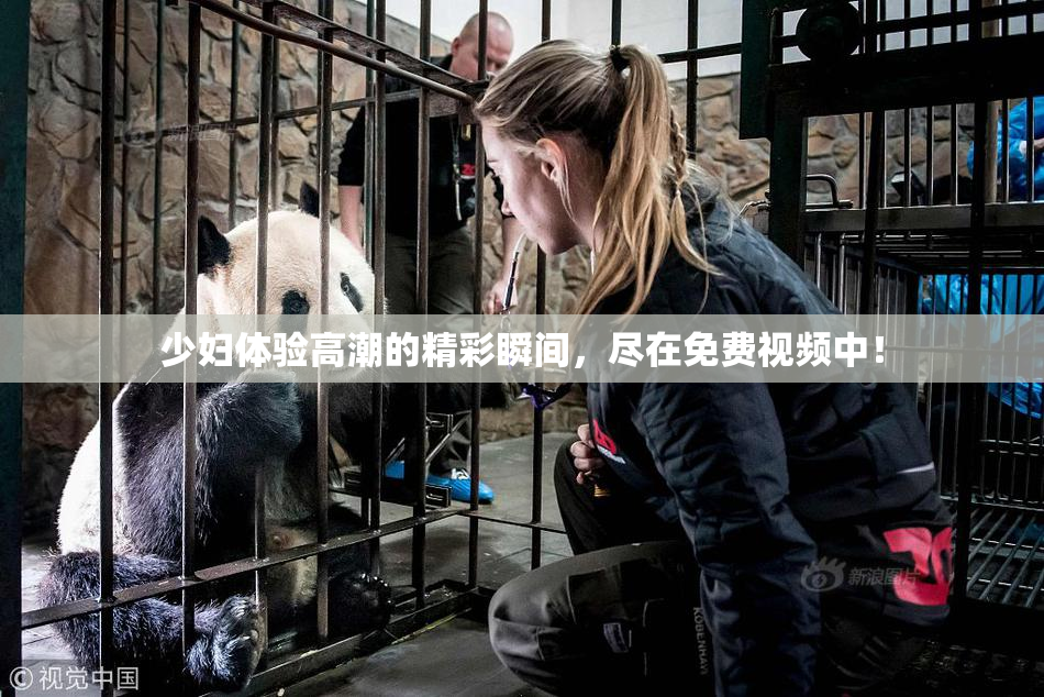 少妇体验高潮的精彩瞬间，尽在免费视频中！