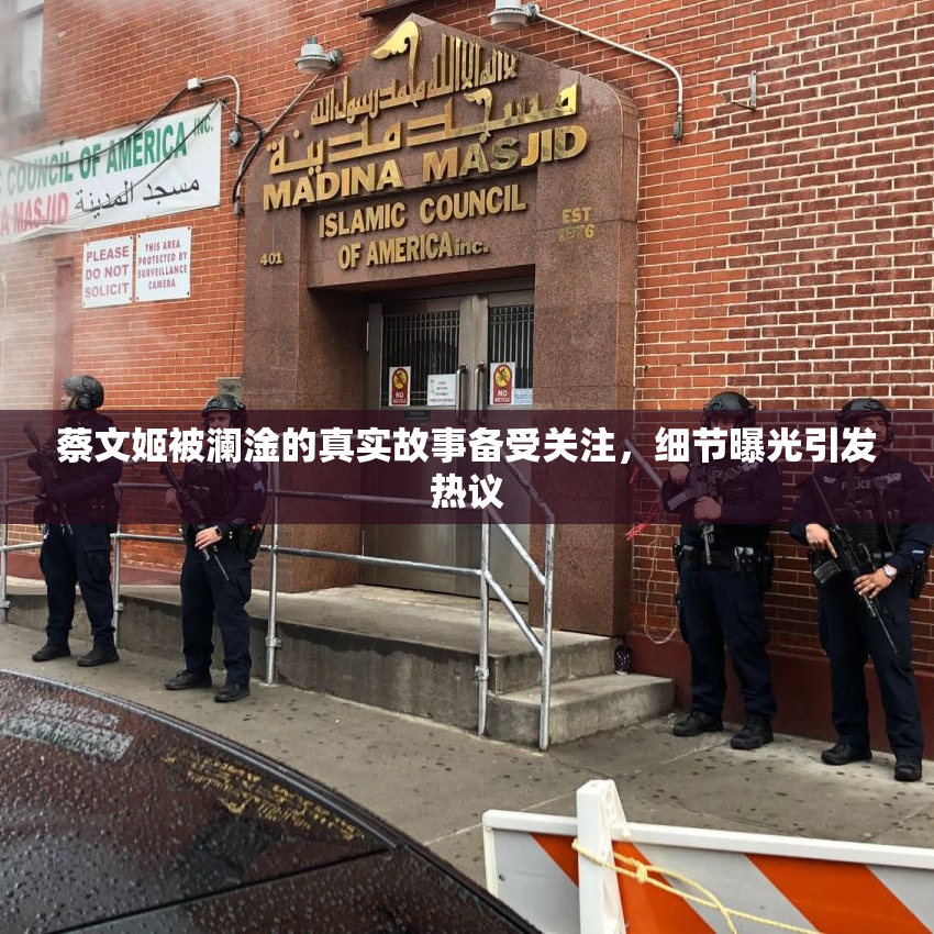 蔡文姬被澜淦的真实故事备受关注，细节曝光引发热议