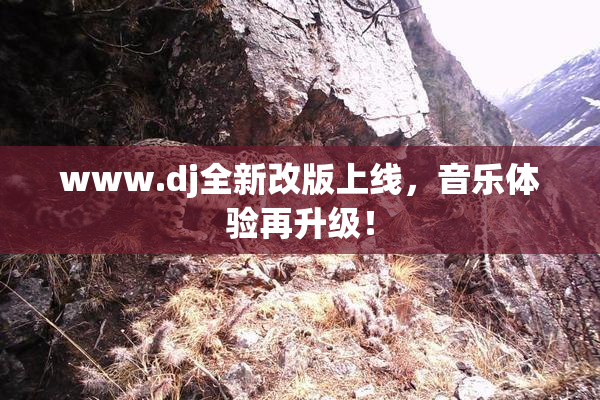 www.dj全新改版上线，音乐体验再升级！