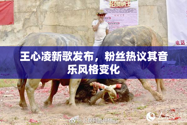 王心凌新歌发布，粉丝热议其音乐风格变化