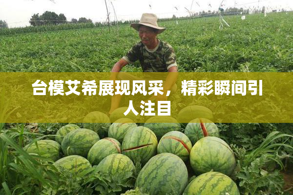 台模艾希展现风采，精彩瞬间引人注目