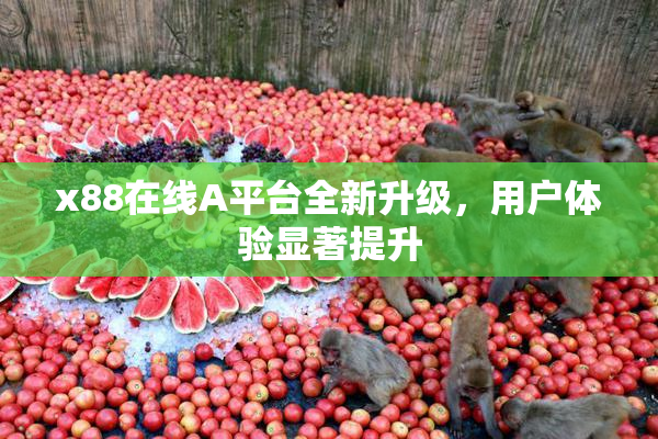 x88在线A平台全新升级，用户体验显著提升