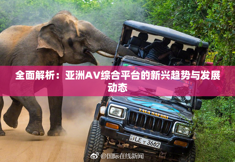 全面解析：亚洲AV综合平台的新兴趋势与发展动态