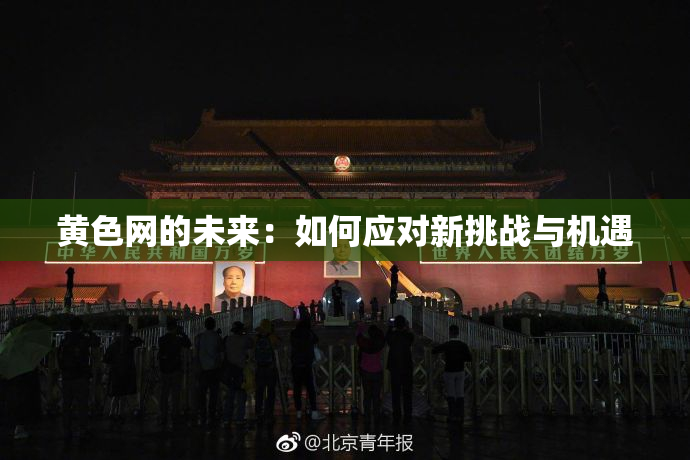 黄色网的未来：如何应对新挑战与机遇