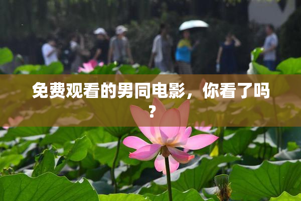 免费观看的男同电影，你看了吗？