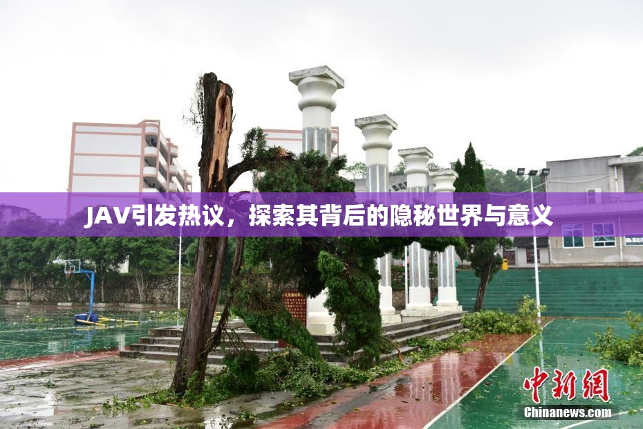 JAV引发热议，探索其背后的隐秘世界与意义