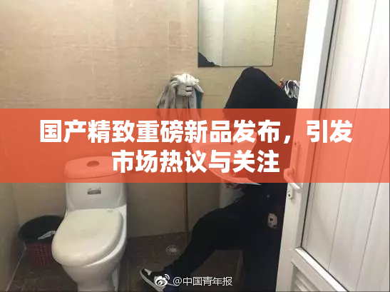 国产精致重磅新品发布，引发市场热议与关注