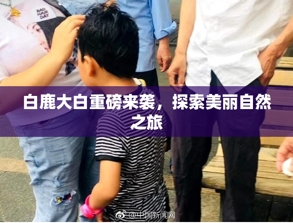 白鹿大白重磅来袭，探索美丽自然之旅