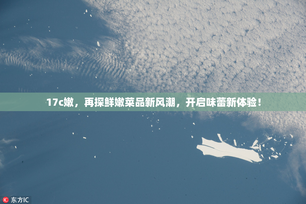 17c嫩，再探鲜嫩菜品新风潮，开启味蕾新体验！
