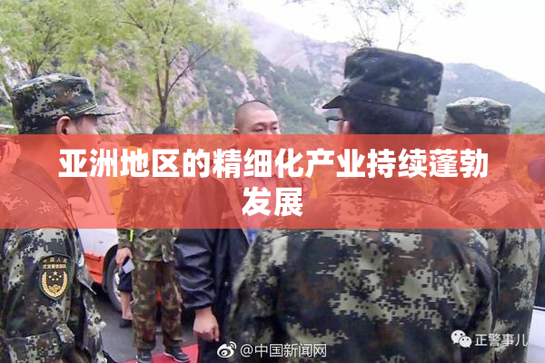 亚洲地区的精细化产业持续蓬勃发展
