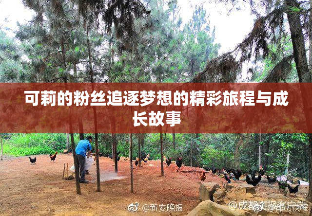 可莉的粉丝追逐梦想的精彩旅程与成长故事